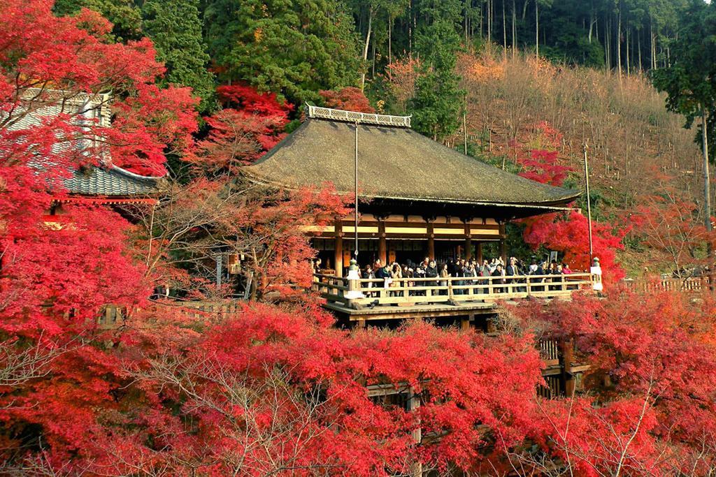 Zen Kyoto Kinkaku-Ji Temple Villa Buitenkant foto